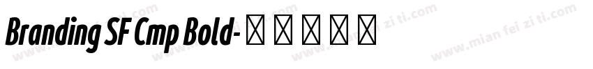 Branding SF Cmp Bold字体转换